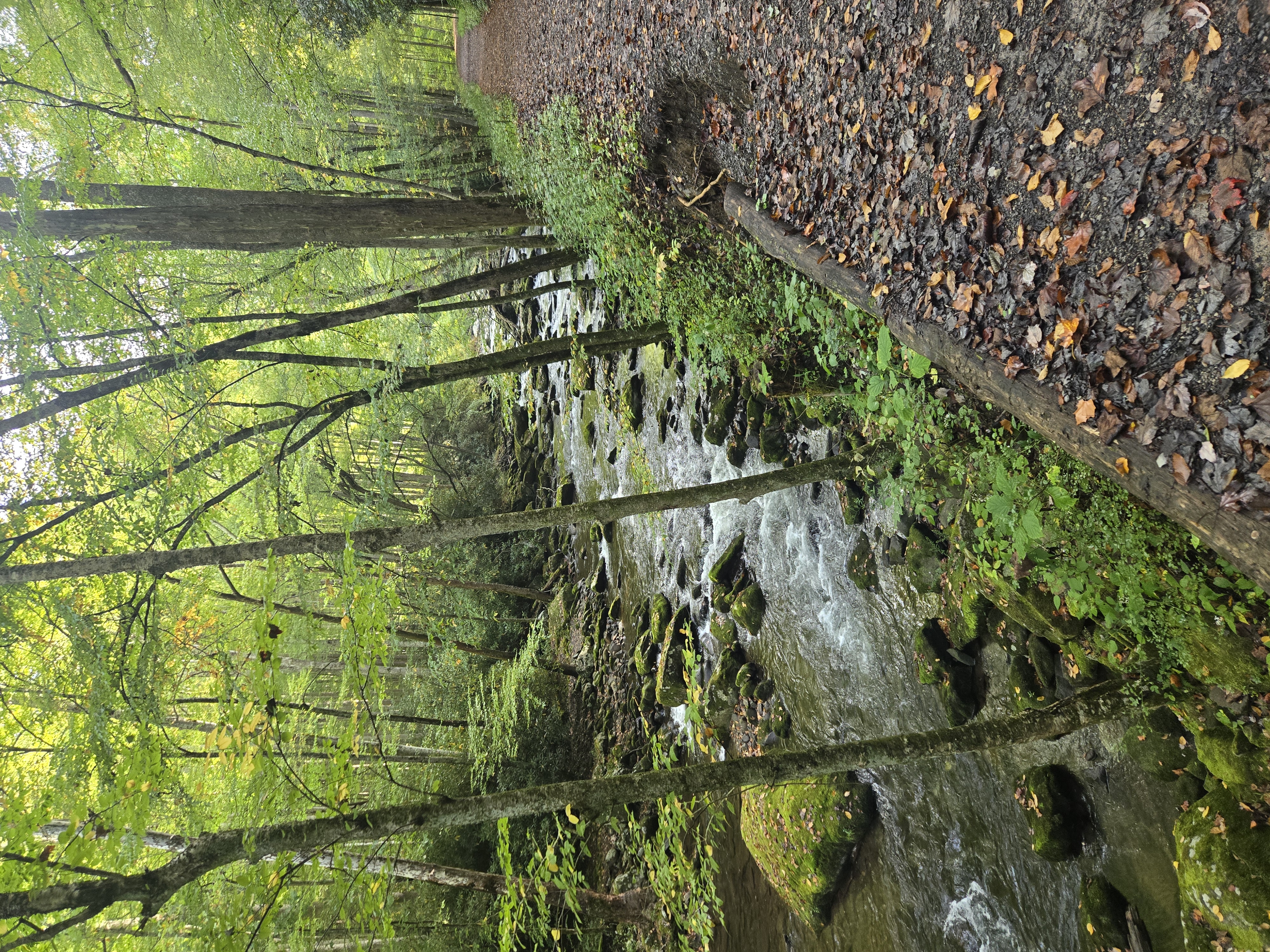 Great Smoky Mountains